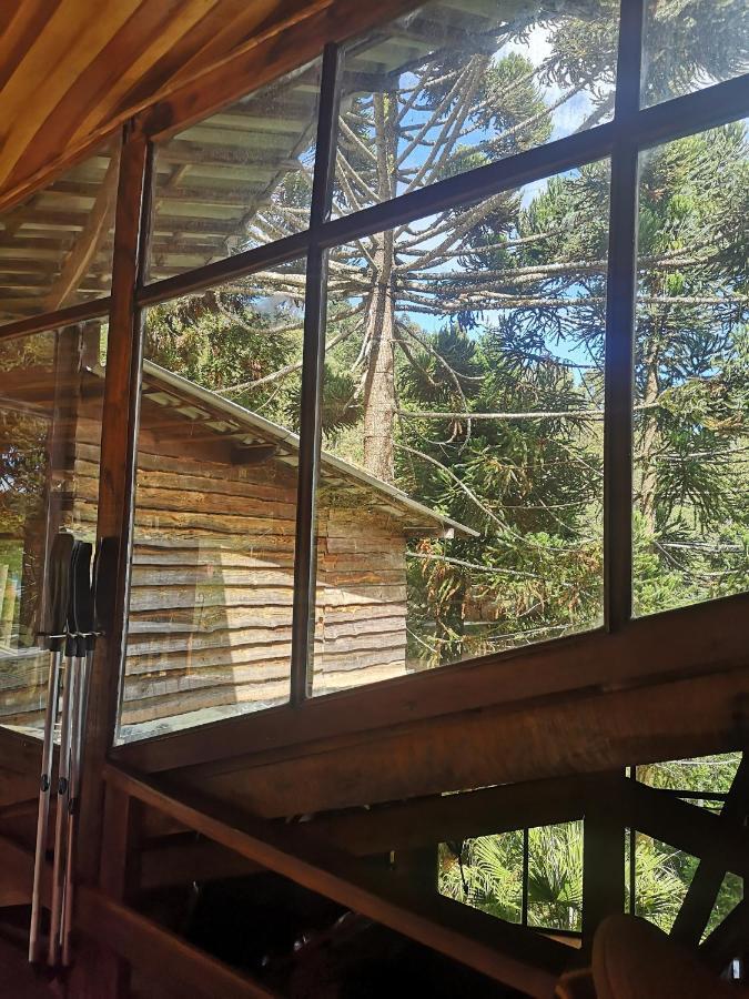 阿里福生态小屋旅馆 蒙特韦尔迪 外观 照片