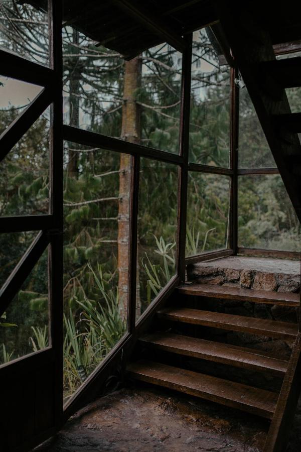 阿里福生态小屋旅馆 蒙特韦尔迪 外观 照片