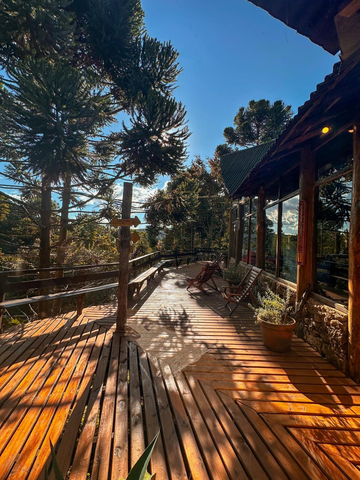 阿里福生态小屋旅馆 蒙特韦尔迪 外观 照片